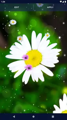 3D Daisy Spring Live Wallpaper android App screenshot 0