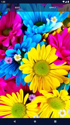 3D Daisy Spring Live Wallpaper android App screenshot 3