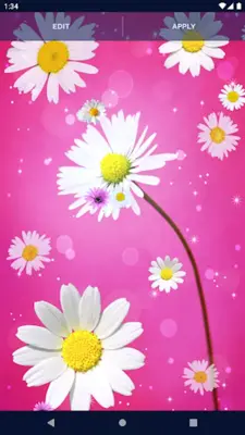 3D Daisy Spring Live Wallpaper android App screenshot 4